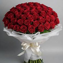 Букет 101 Красная роза Блэк Мэджик в Воронцовке