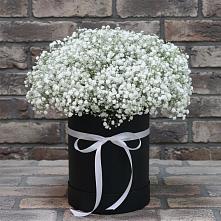 Цветочная композиция из Гипсофила в шляпной коробке в Воронцовке
